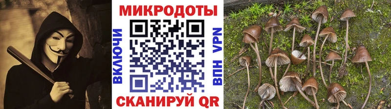 Галлюциногенные грибы MAGIC MUSHROOMS  Козьмодемьянск 